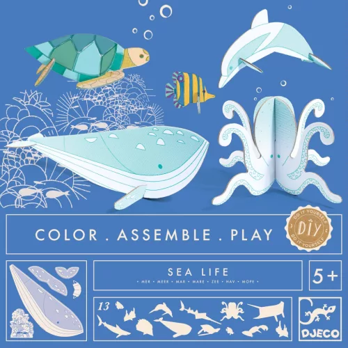 Készítsd magad! - Élet a tengerben 3D-ben - Sea life