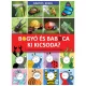 Bogyó és Babóca - Ki kicsoda