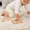 Eichhorn magasított puzzle - katica