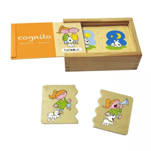 Cognito - Ellentétek