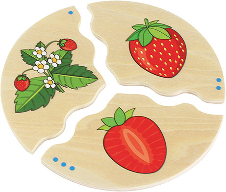 NAWITO Gyümölcsök