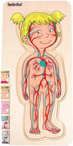 Ismerd meg a tested-lány rétegpuzzle