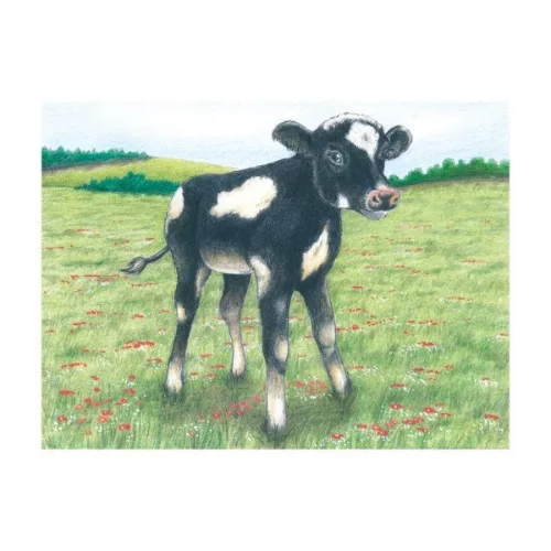 Kocka puzzle, farm
