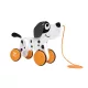 Hape Húzós kutya - Dalmata 12 hó+